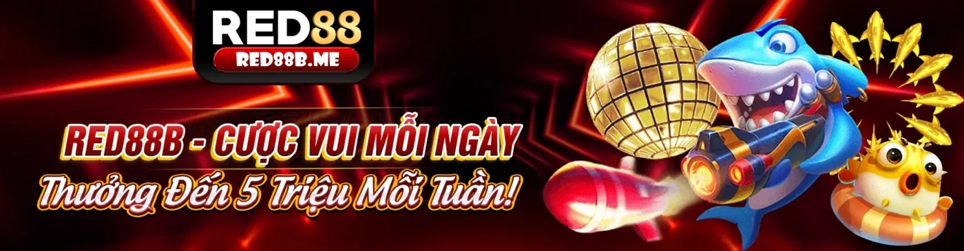 Hình ảnh Điều khoản Dịch vụ của 88vi
